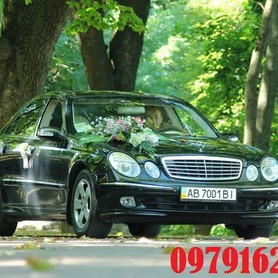 Мерседес 211 - авто на свадьбу в Виннице - портфолио 6