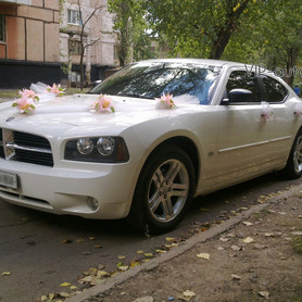 Dodge Charger - авто на свадьбу в Кривом Роге - портфолио 1