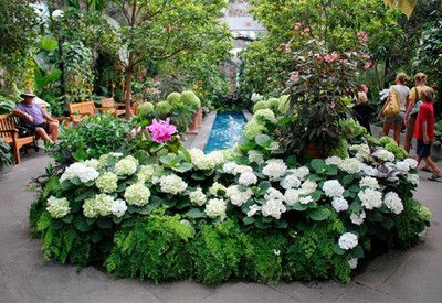 Ботанический сад им. Гришко - место для фотосессии в Киеве - портфолио 5