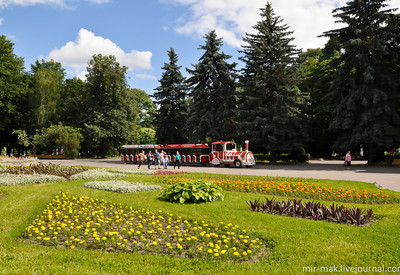 Центральный городской парк - место для фотосессии в Виннице - портфолио 6