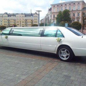 Лимузин Мерседес S 600 - авто на свадьбу в Сумах - портфолио 2