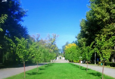 Парк Дубовая роща - место для фотосессии в Запорожье - портфолио 6