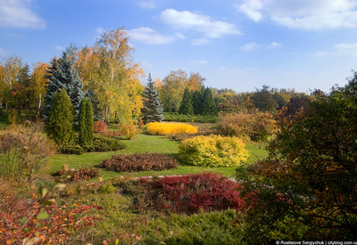 Ботанический сад - фото 1