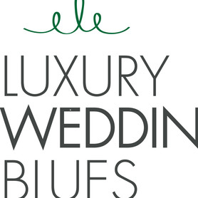 Музыканты, DJ LUXURY WEDDING BLUES