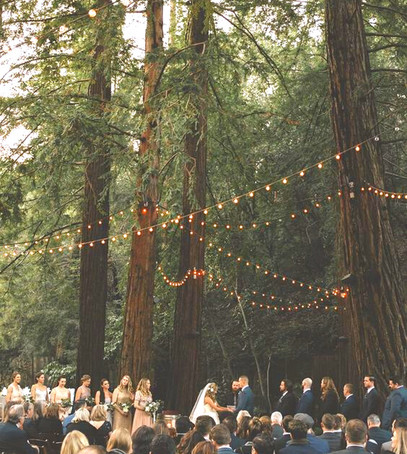 церемония в лесу