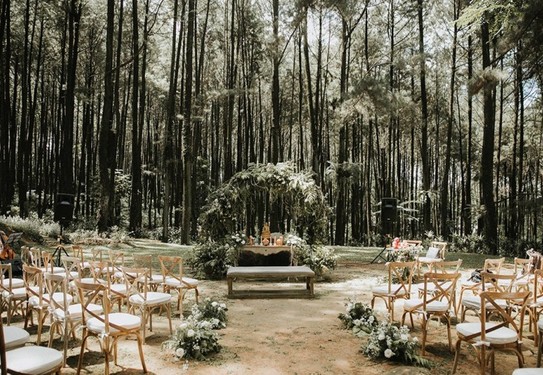 как устроить свадьбу в лесу