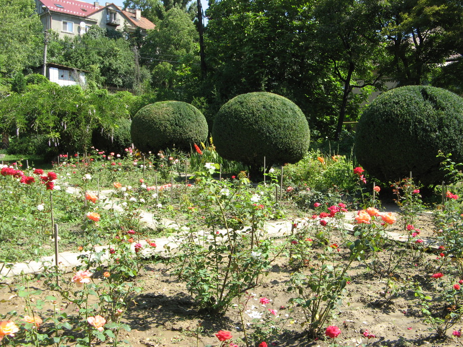 Ботанический сад