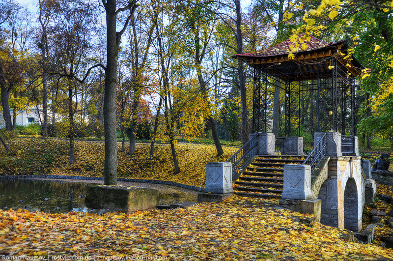 Дендропарк тольятти фото