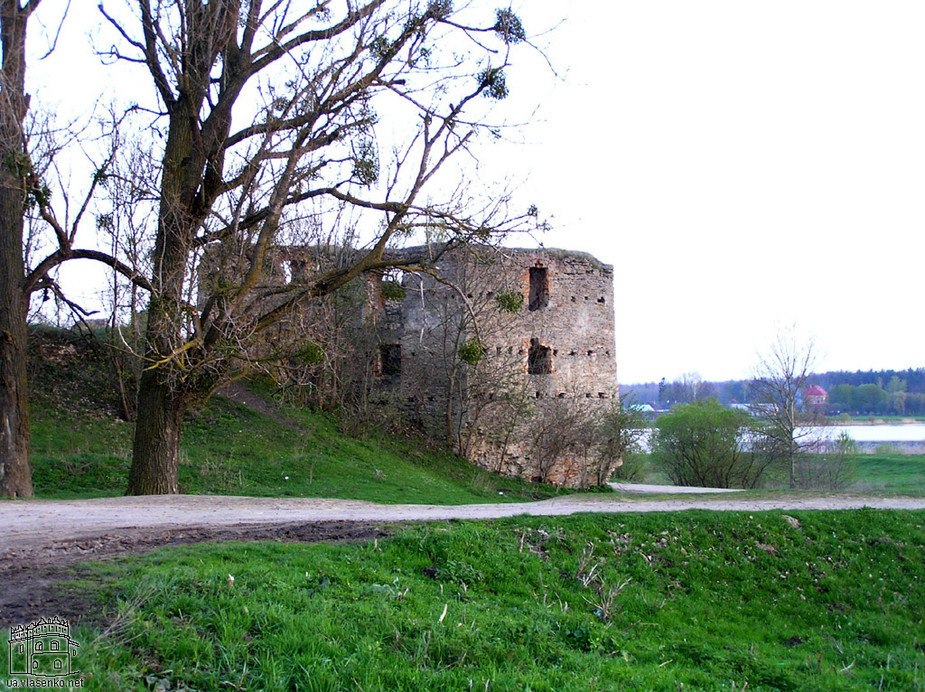 Новомалинский замок
