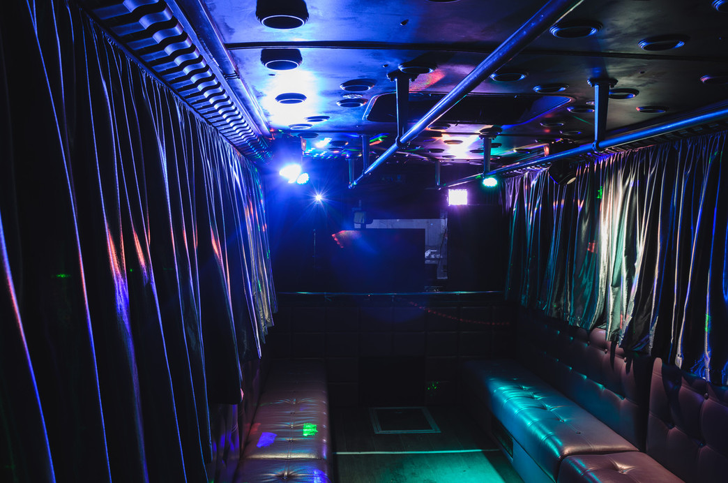 Party Bus Silver 