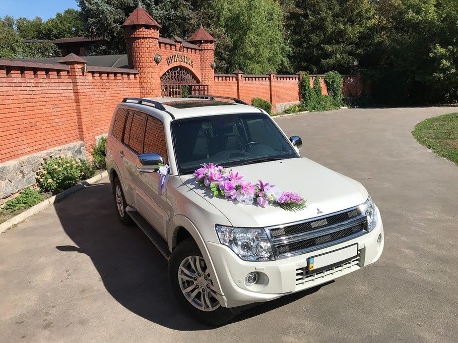 Mitsubishi Pajero Wagon 