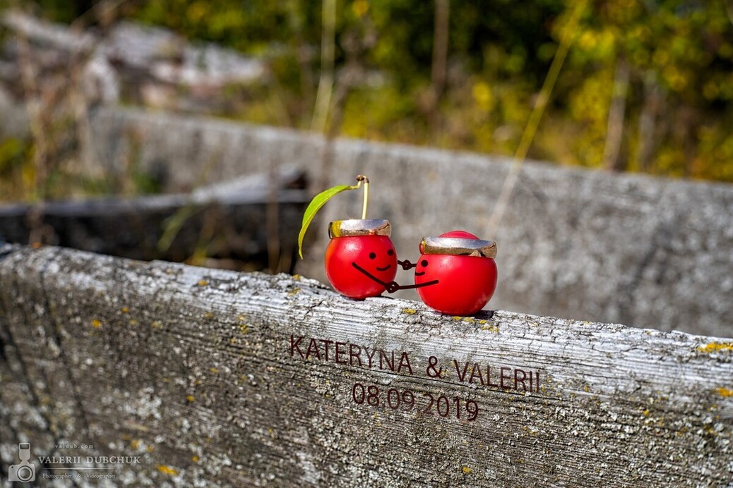 Валерій Дубчук