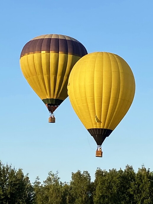 Полет на воздушном шаре Лимон 