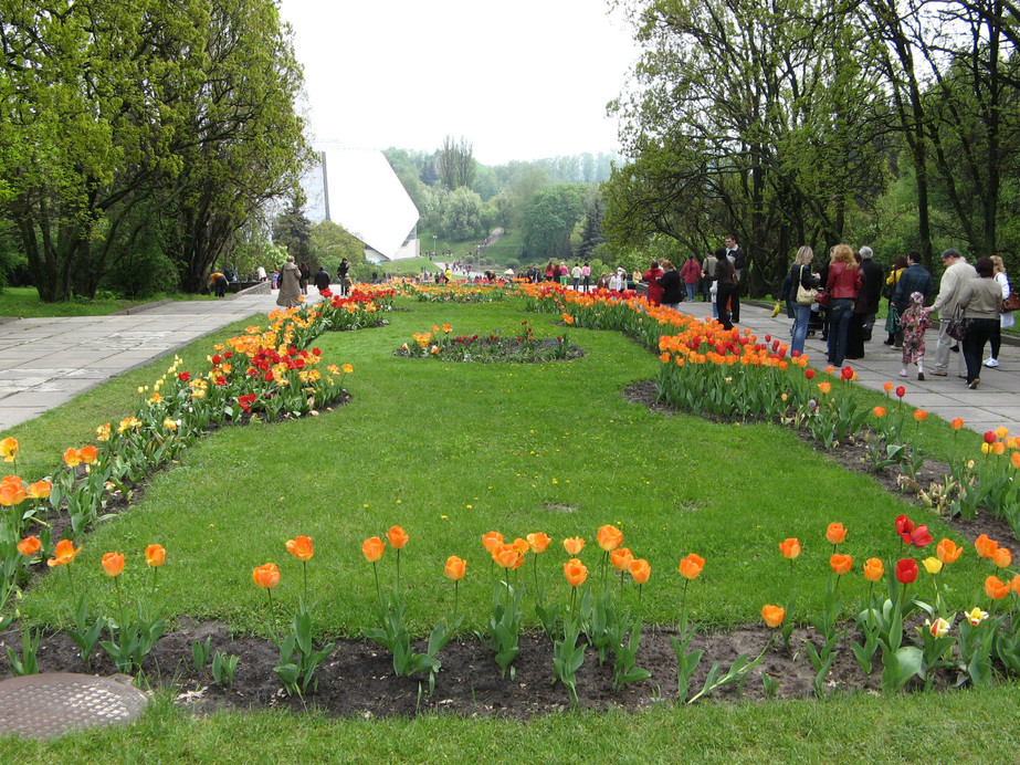 Киев ботанический сад фото